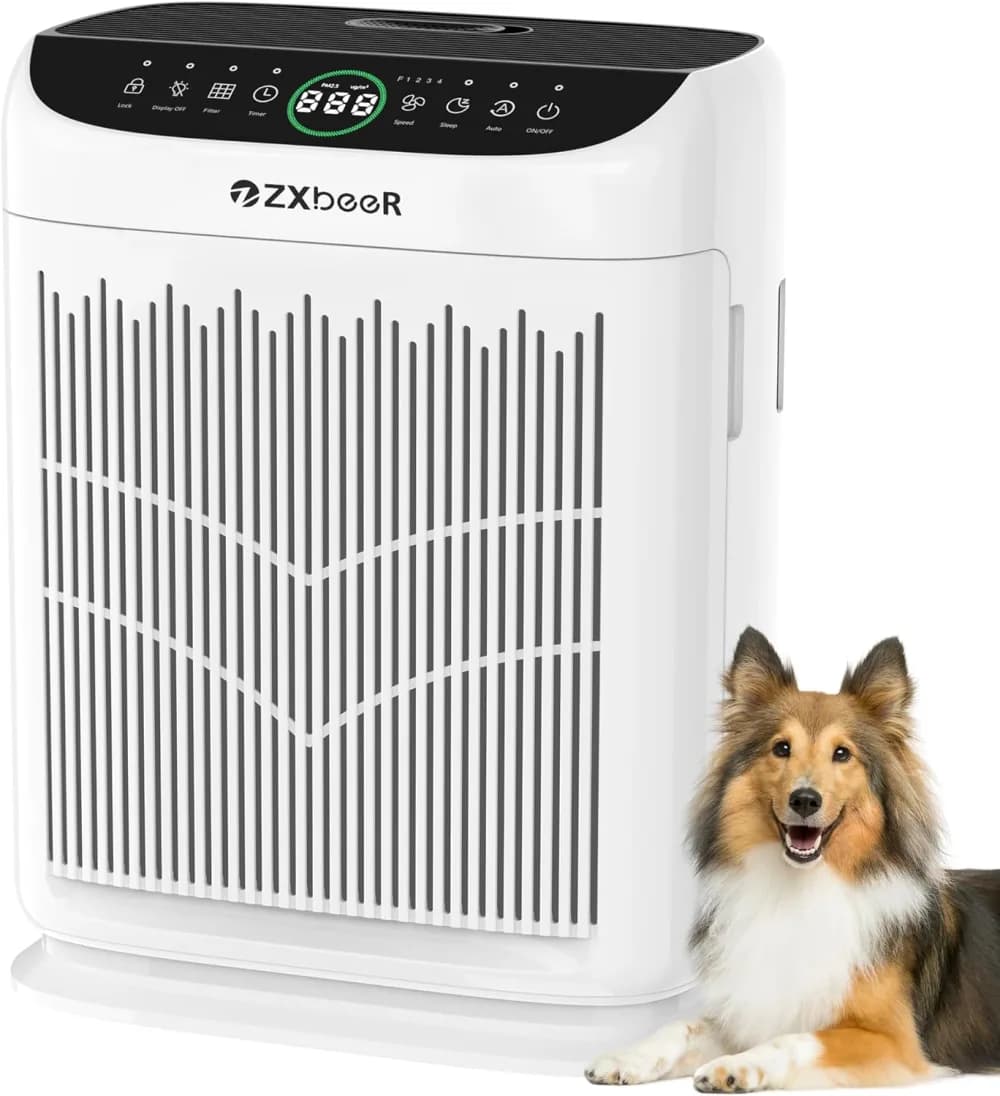 ZXBEER Purificateur Maison