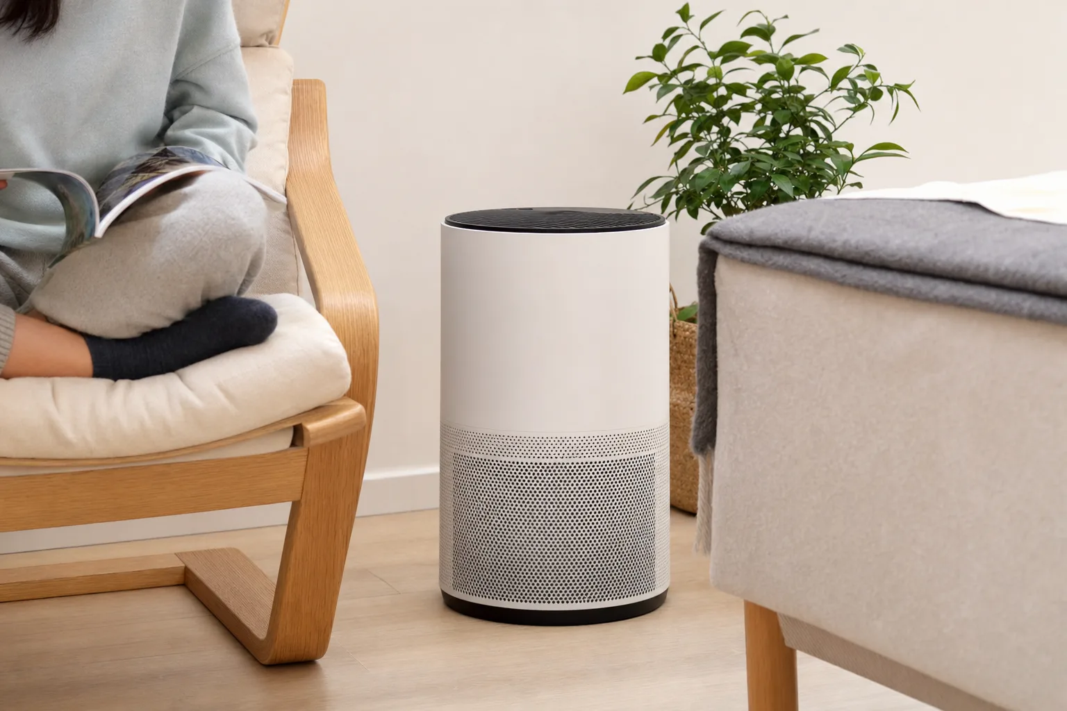 Comment intégrer un purificateur d'air dans votre décoration intérieure ? — Utiliser des Plantes pour Complémenter le Purificateur