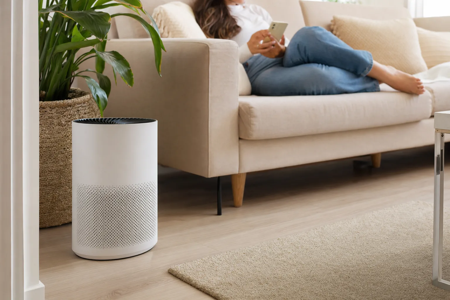 Quel purificateur d'air pour une maison passive ? — Examiner les fonctionnalités supplémentaires