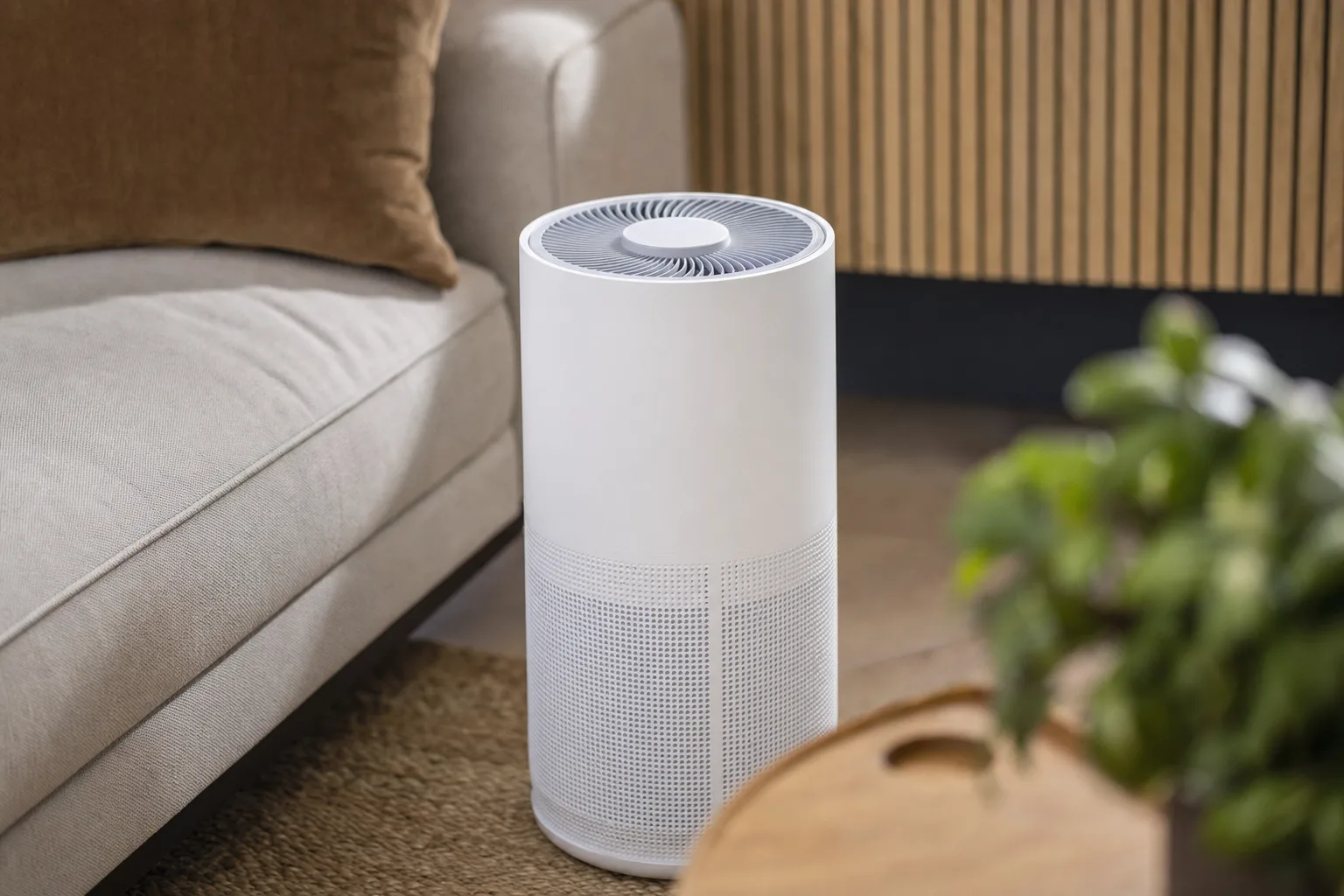 Quel purificateur d'air pour réduire les odeurs ? — Erreurs à Éviter dans le Choix de votre Purificateur