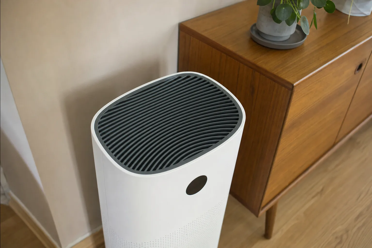 Top 5 des purificateurs d'air pour des foyers avec animaux domestiques — Les meilleures technologies pour capturer les poils et allergènes